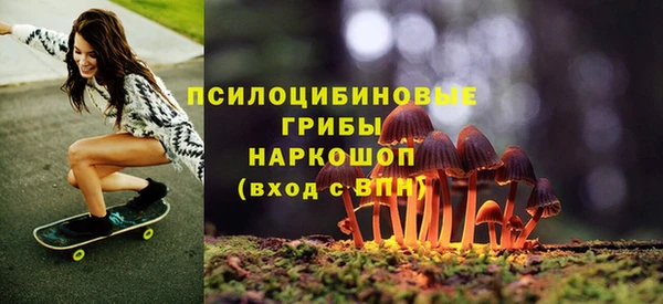 a pvp Алзамай