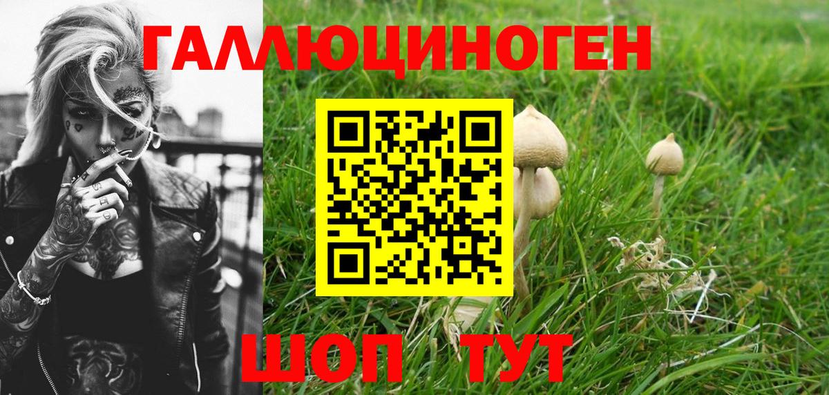 Псилоцибиновые грибы прущие грибы  Вход с VPN  Махачкала 